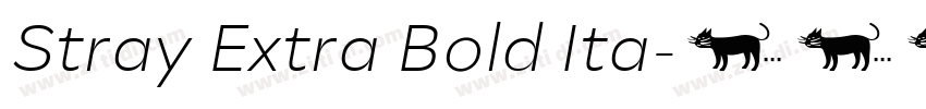 Stray Extra Bold Ita字体转换